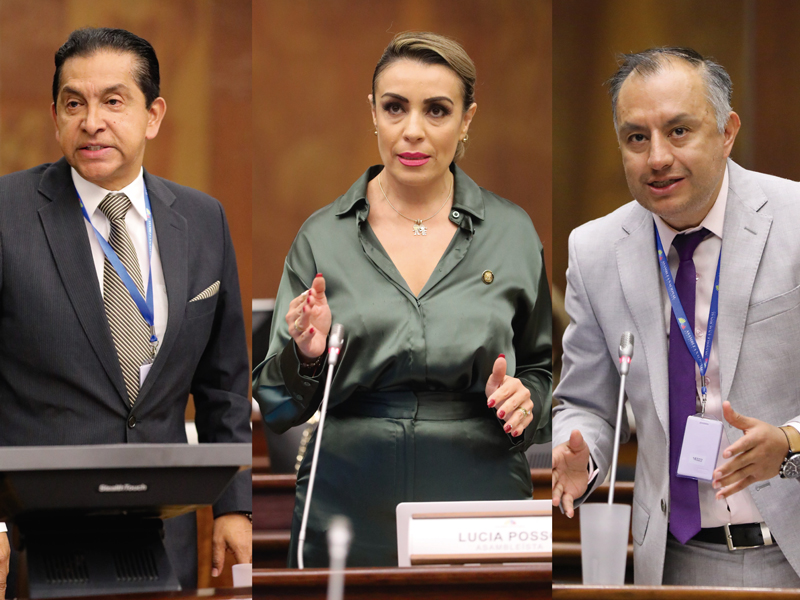 Proponen enmienda constitucional para garantizar el pleno derecho a una vida sin violencia