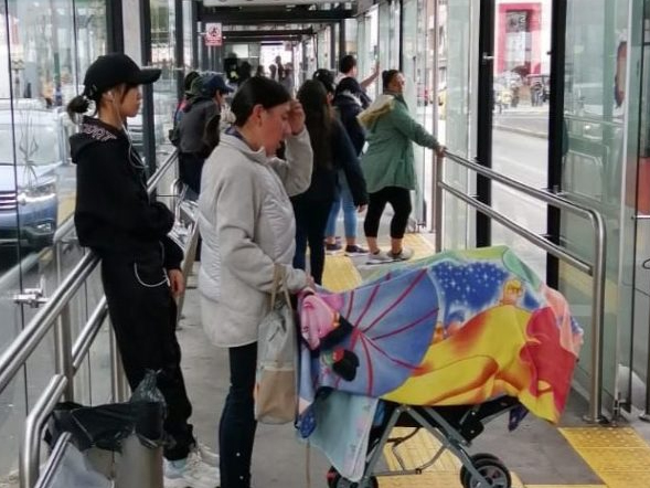 Conoce los horarios del Trolebús y la Ecovía durante Año Nuevo