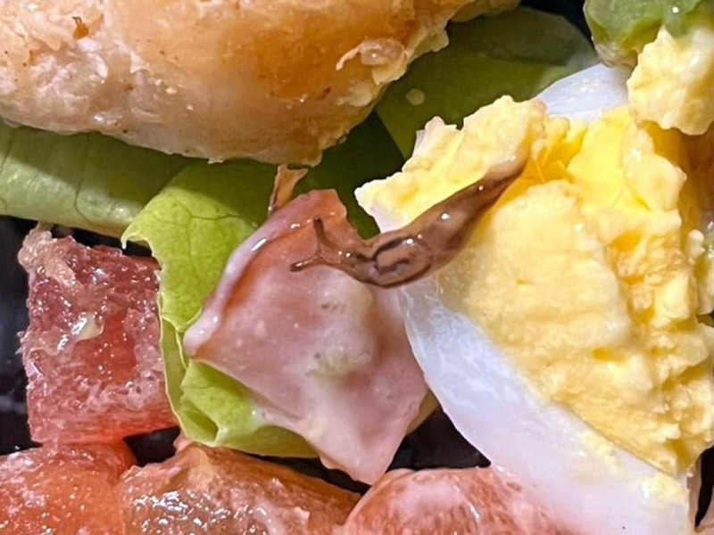 Guayaquil: joven denuncia que encontró una babosa en su comida