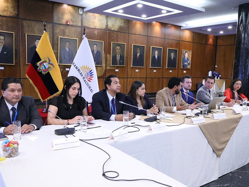 Inicia el estudio de enmienda constitucional que amplía los requisitos para ser asambleísta