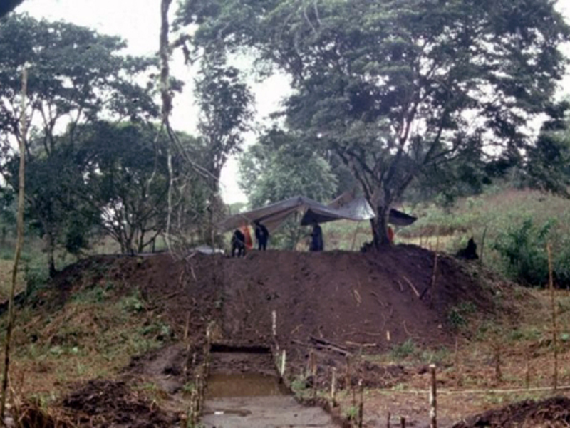 La inmensa ciudad descubierta en el Amazonas que cambia lo que se sabía de las primeras culturas en América Latina 