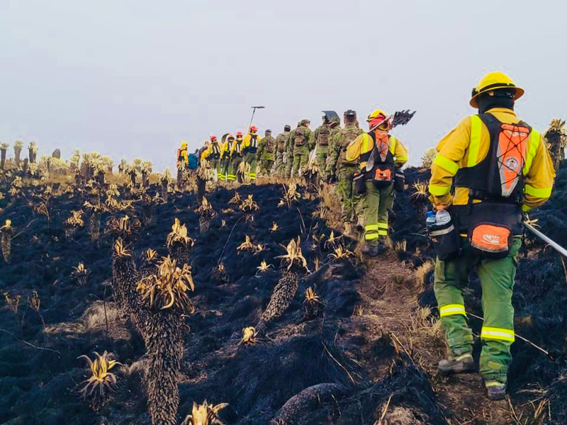 Más de 800 hectáreas se quemaron en la Reserva Ecológica El Ángel 