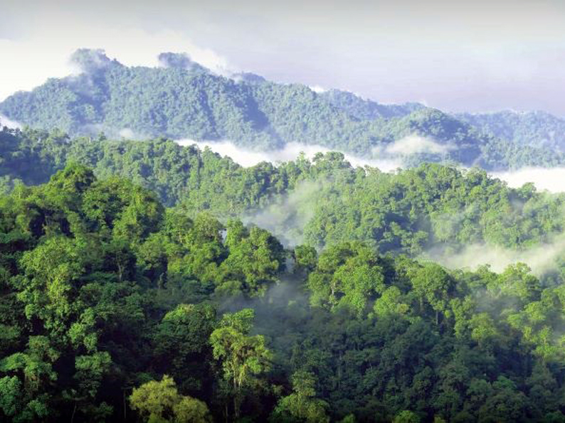 Quito: Tres ejes de acción de la Secretaría de Ambiente