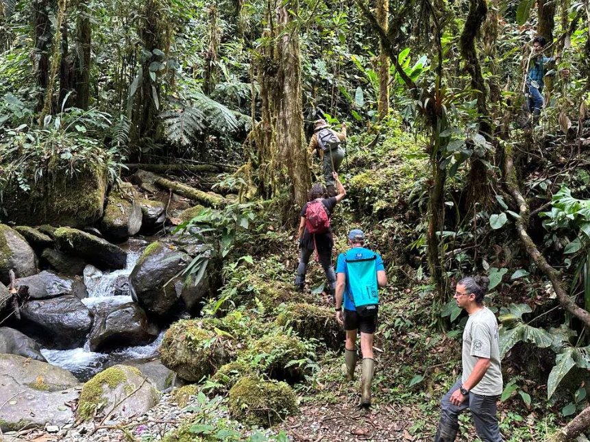 Cómo un juicio por los derechos de la naturaleza llevó a descubrir un hongo alucinógeno en Ecuador