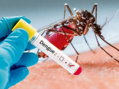 25.000 viviendas fueron fumigadas debido al dengue, en Guayaquil