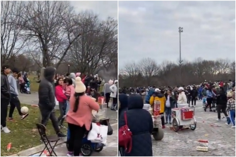 Carnaval: Ecuatorianos hicieron relajo en parque de New York