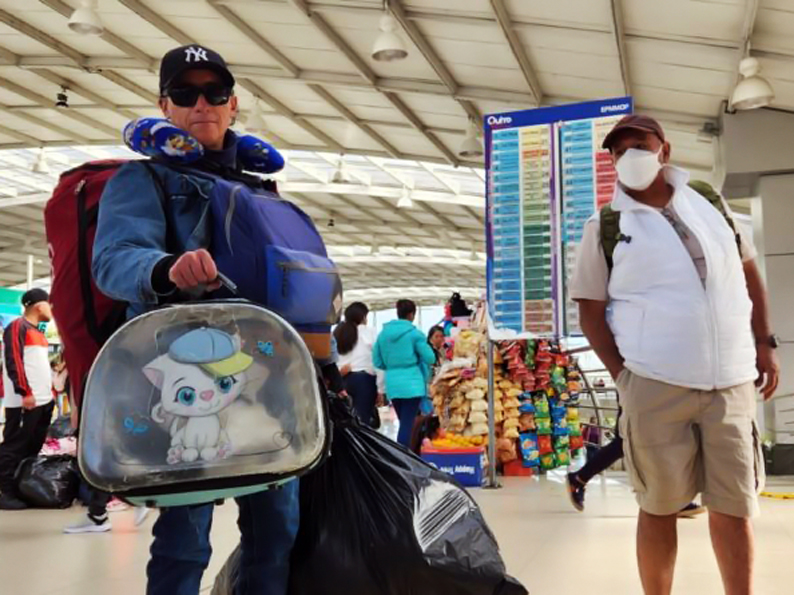Así puedes viajar con animales de compañía desde las terminales de Quitumbe y Carcelén