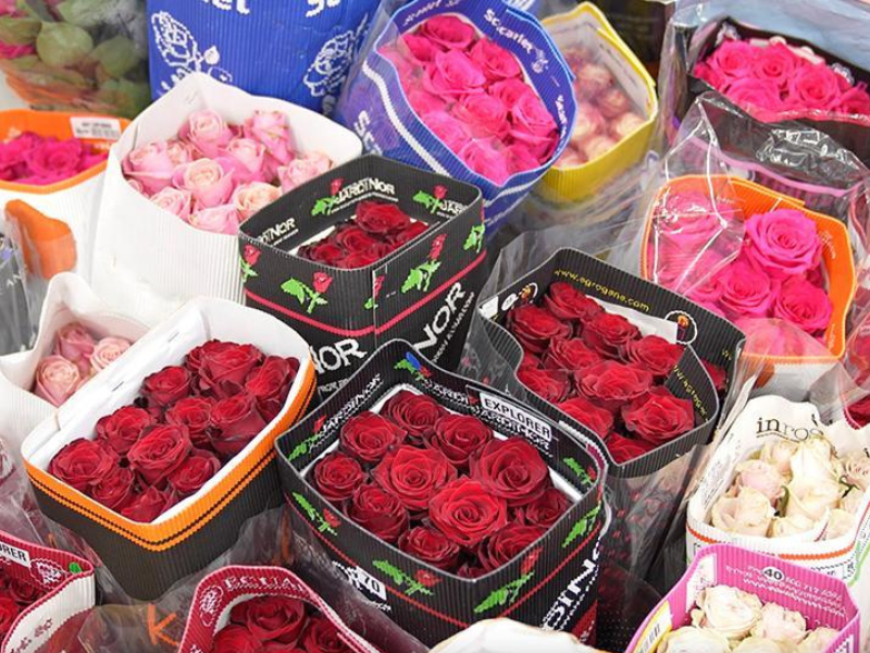 Acuerdo con China otorga acceso preferencial para el 99,6% de productos ecuatorianos