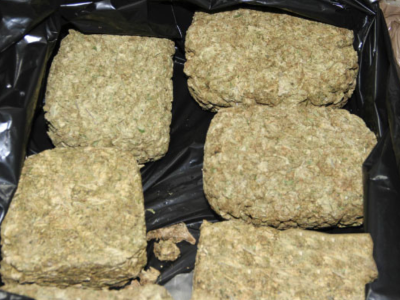 5 procesados por tráfico de una tonelada de marihuana son sentenciados
