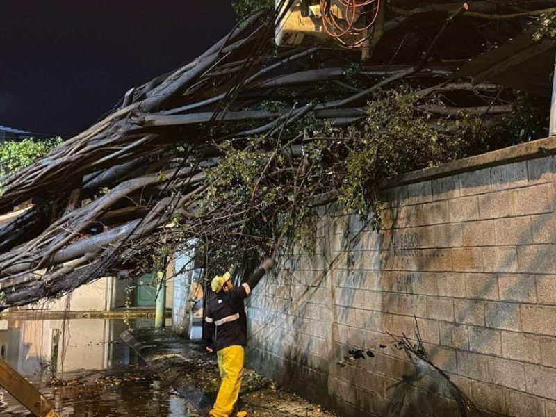 Alcaldía de Guayaquil activa ayuda para sitios afectados por las lluvias