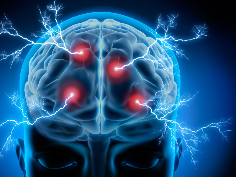 El cerebro humano ha crecido en las últimas décadas: ¿qué significa para nuestra inteligencia?
