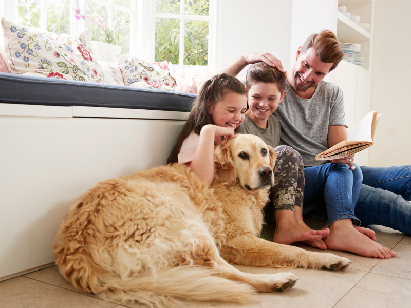 Cómo es la terapia con perros para calmar la ansiedad en los niños con internación prolongada