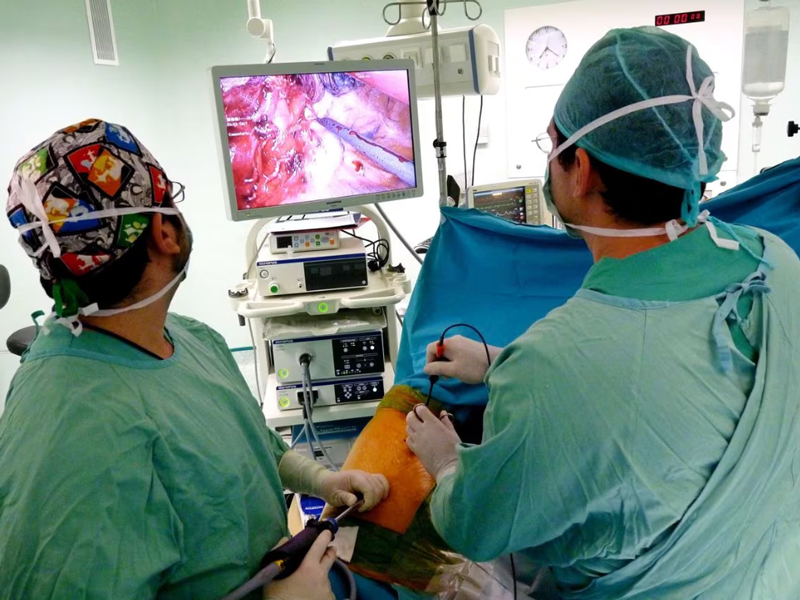 La OMS prevé que los casos de cáncer crecerán el 77% para 2050 