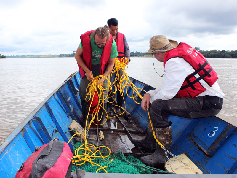 Peces de la Amazonía exhiben concentraciones de metales pesados que superan los estándares recomendados
