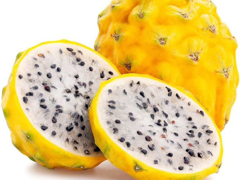 Luzmila Abad presentó proyecto para fomentar la producción de pitahaya 