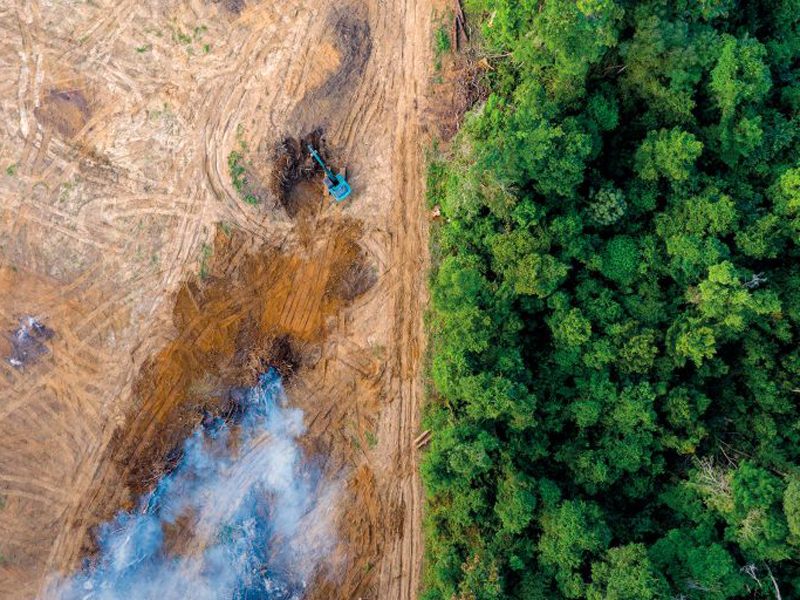 Impacto de los plaguicidas en la salud de la Amazonía