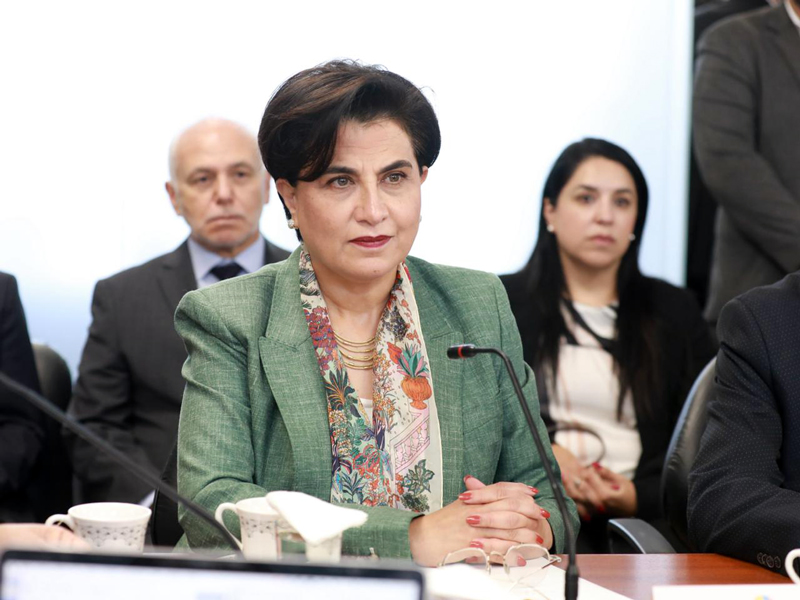 No se conseguirá exención de visa Schengen, asegura canciller Sommerfeld