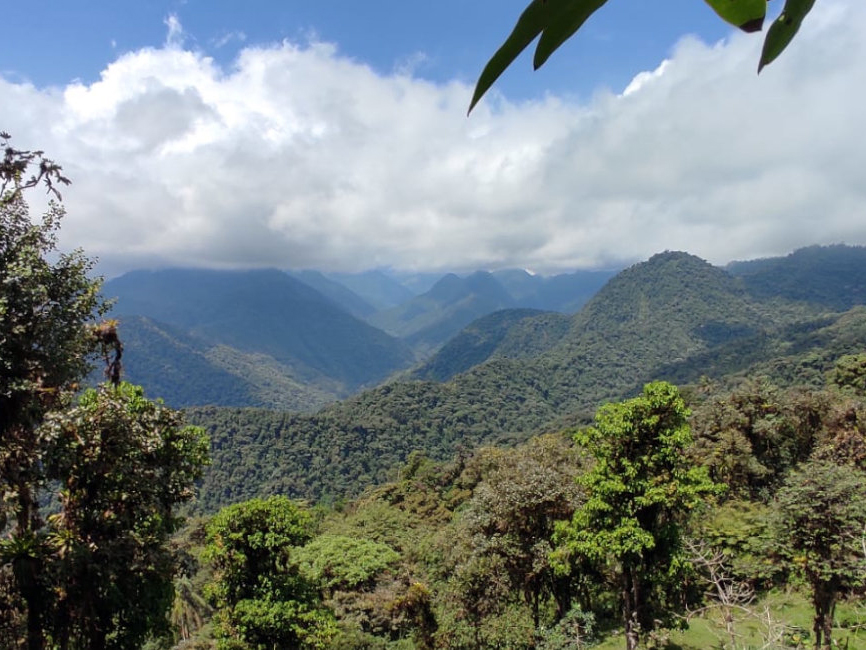 Avanza la creación de la Administración Zonal Chocó Andino