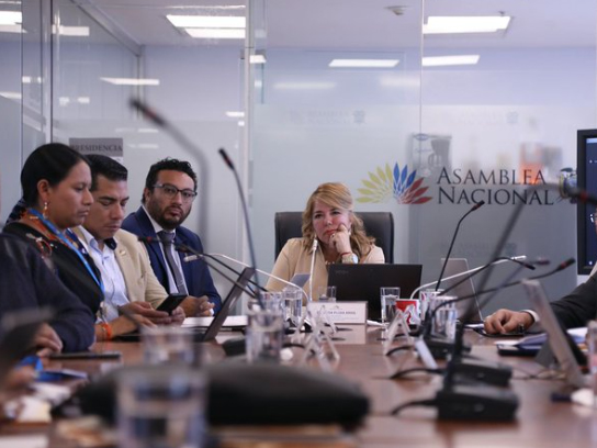 Legisladores fundamentan sus propuestas de reforma e interpretativa a la Ley de Educación Superior