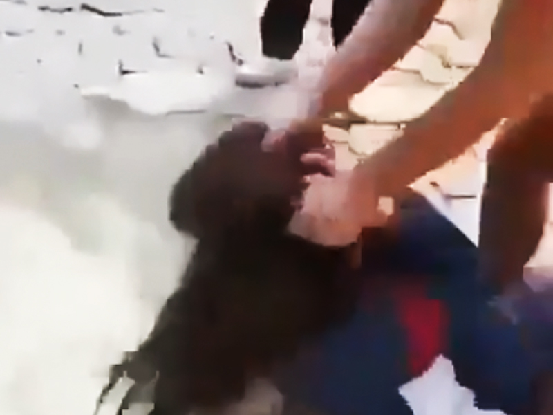 Indignación ante video que muestra agresión a estudiante de un plantel de Otavalo