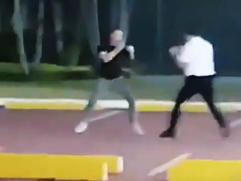 Antonio Álvarez se fue a los golpes con hermano del ministro Andrés Guschmer