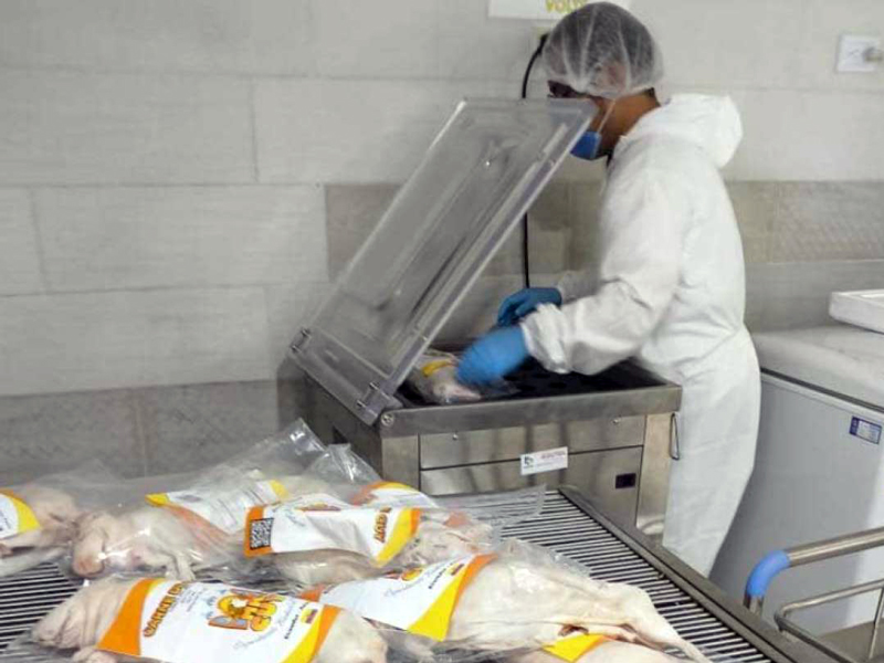 Azuay exporta el primer lote de cuyes a Estados Unidos