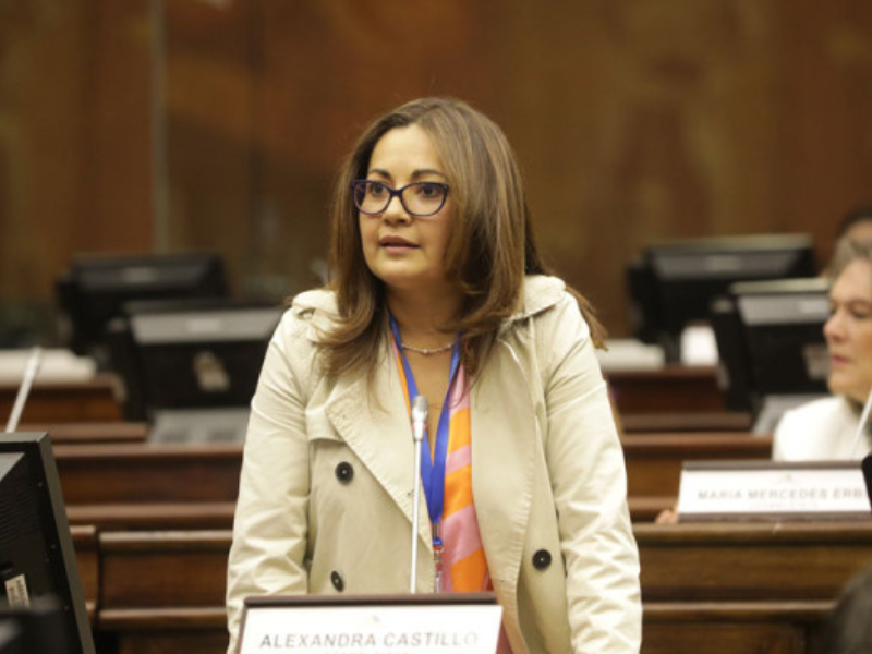 Alexandra Castillo denuncia agresiones verbales de asambleístas de Construye