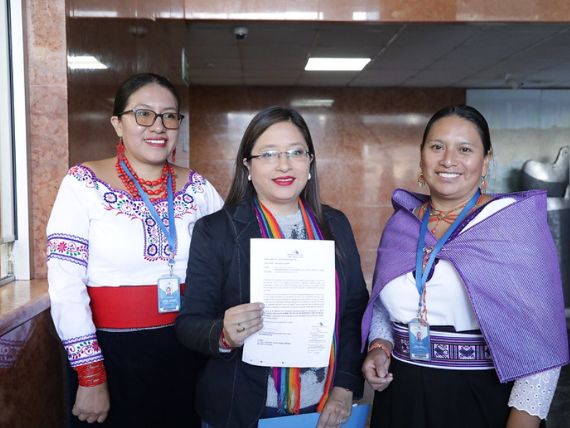 Fabiola Sanmartín, presenta proyecto de ley sobre técnicas de reproducción humana asistida