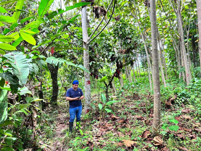 MAG brinda servicios forestales para un desarrollo sostenible