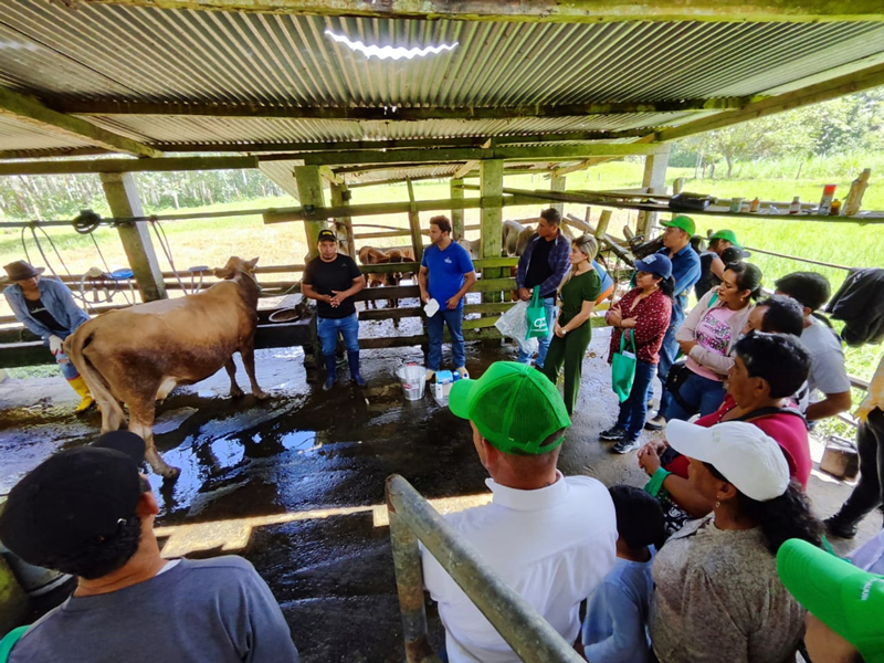 Pequeños ganaderos apuntan al mejoramiento de la calidad de leche