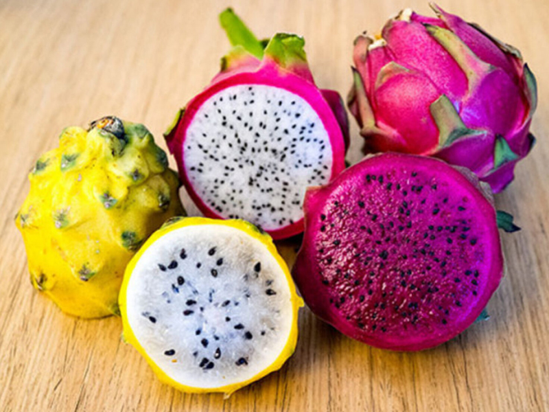 Pitahaya rompe récord en exportaciones con más de USD 172 millones, en 2023