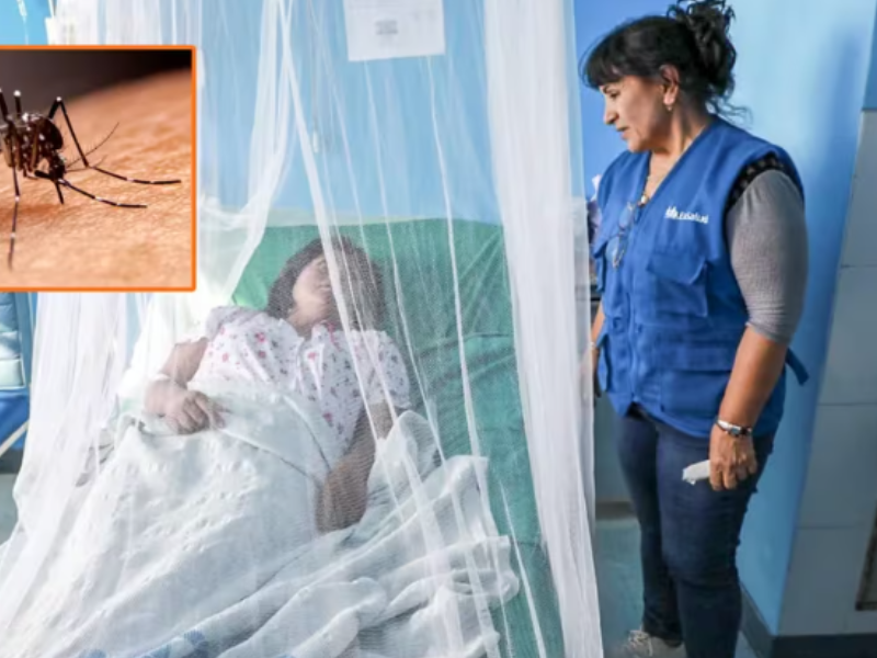 Qué factores pueden desencadenar el dengue grave en personas jóvenes