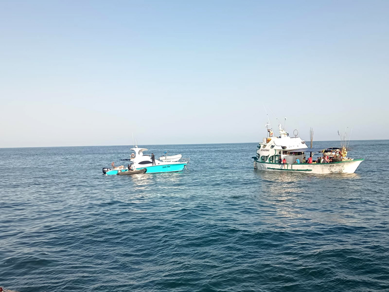 Embarcaciones intentaron ingresar animales y drogas ilegalmente a Galápagos