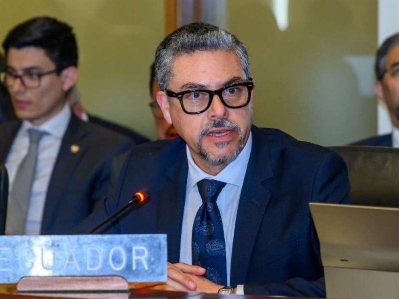 Vicecanciller cuestiona que no se condene a México en resolución aprobada por la OEA