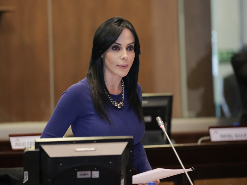 Marcela Holguín podría dejar la bancada correísta