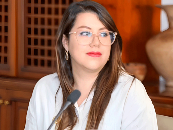 Exministra de Energía rompe el silencio y niega inacción durante su gestión
