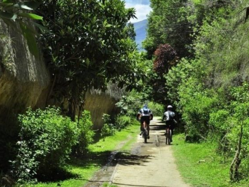 Los 15 parques metropolitanos estarán habilitados para este feriado