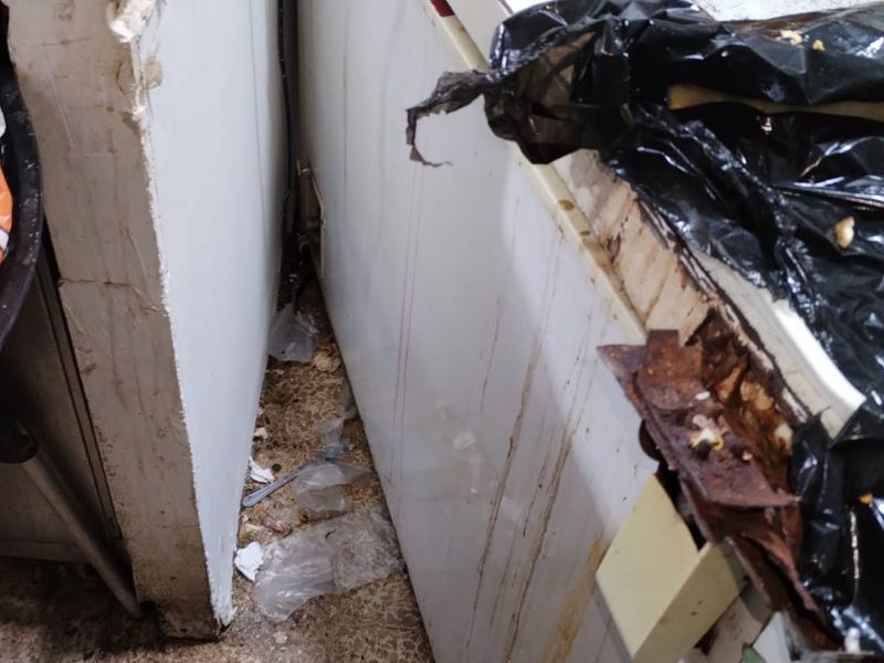Clausuran un restaurante de Guayaquil por plagas y falta de limpieza
