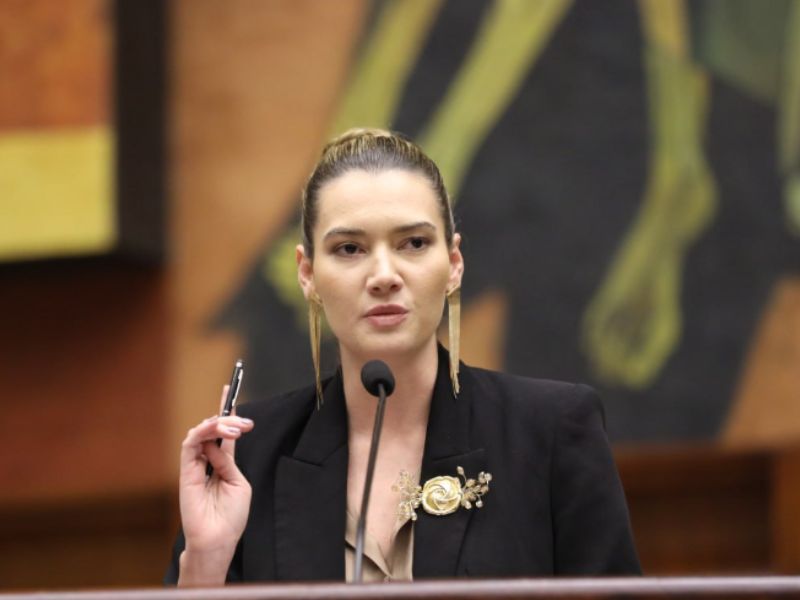 Fritschi: ‘El Ministerio de Ambiente ha sido víctima de una campaña de desprestigio y calumnias’