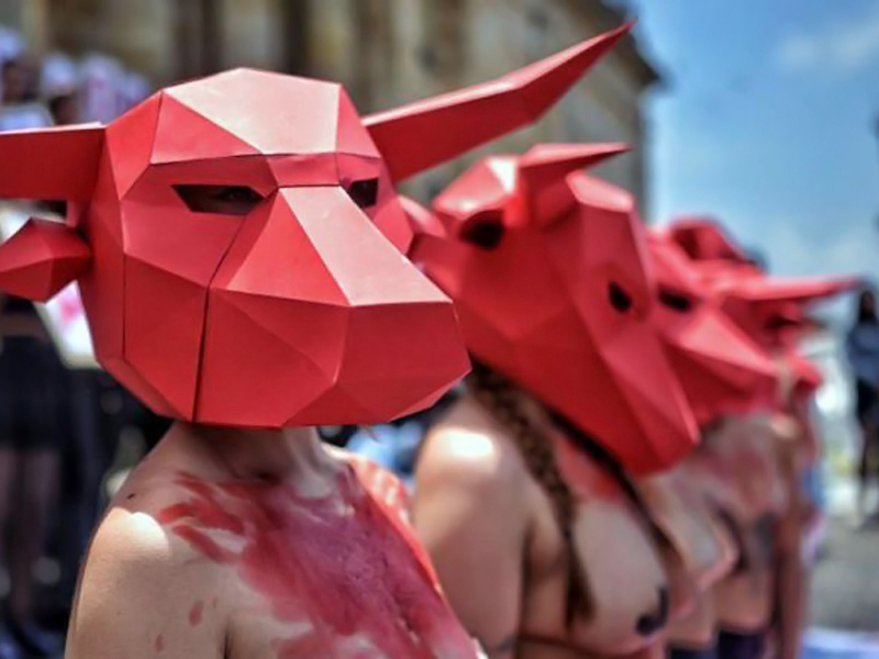 Congreso de Colombia aprueba la prohibición de las corridas de toros