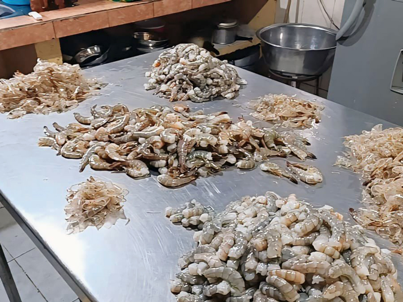 Chifa que preparaba comida entre plagas fue clausurado en Chimborazo