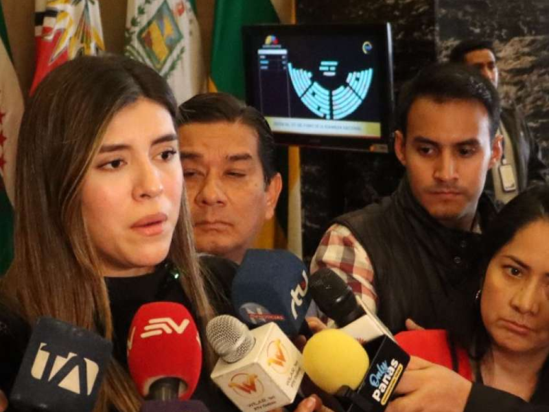 ADN dice que la Asamblea no tiene ninguna atribución para pronunciarse sobre la sucesión presidencial